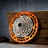 e*thirteen Helix Race 12-Speed 9-52T Cassette