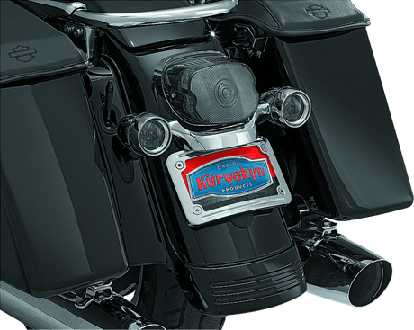 Kuryakyn Curved License Plate Mount Chrome - Cycle City Outdoors