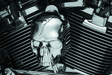 Kuryakyn Skull Horn Cover 17-Up With Waterfall Style Horn Chrome - Cycle City Outdoors