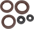 MOOSE RACING Motor Seals - Can-Am 822362MSE - Cycle City Outdoors