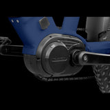 Rambo Pursuit 2.0 Step-Thru - Cycle City Outdoors