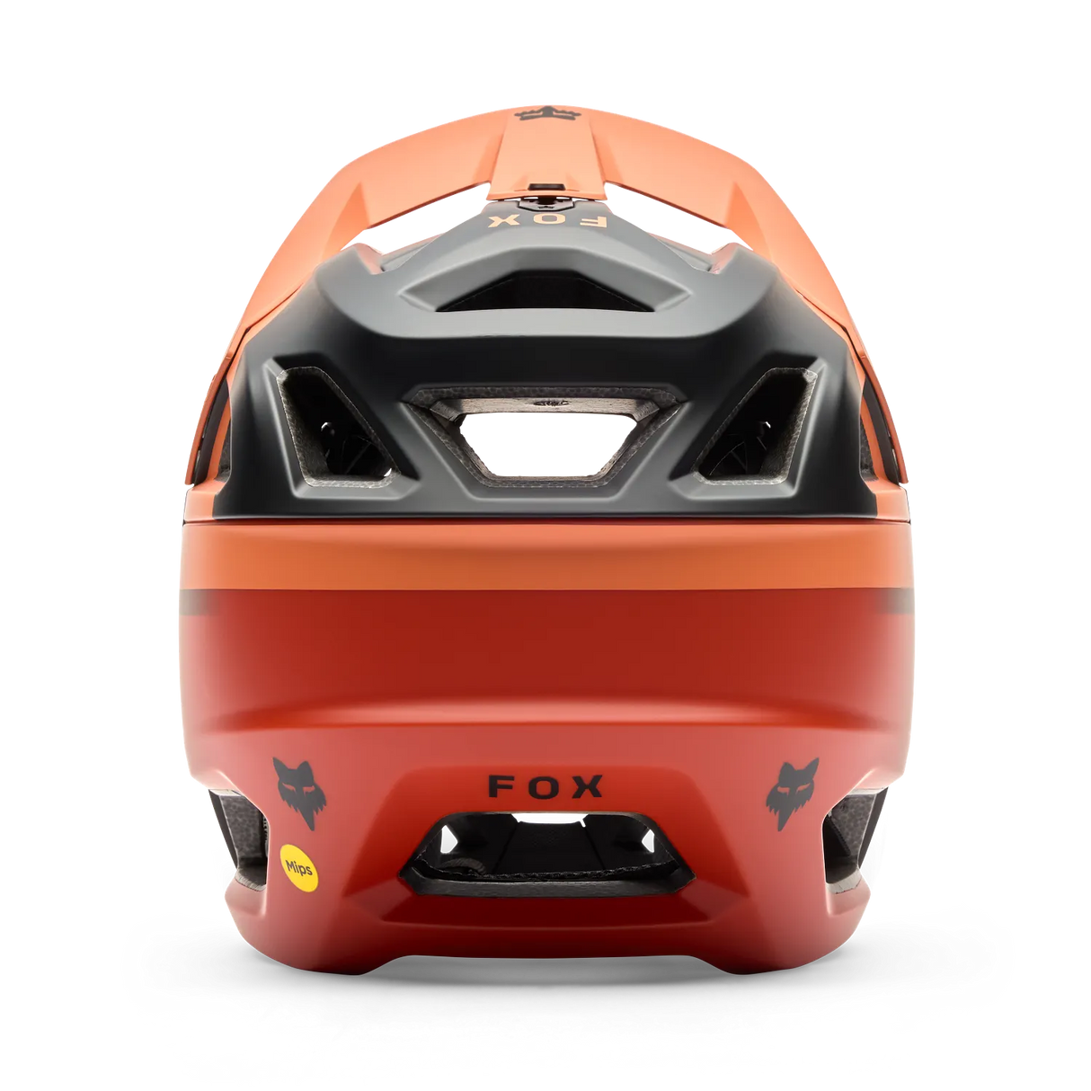 Fox Proframe Rizer MTB Helmet